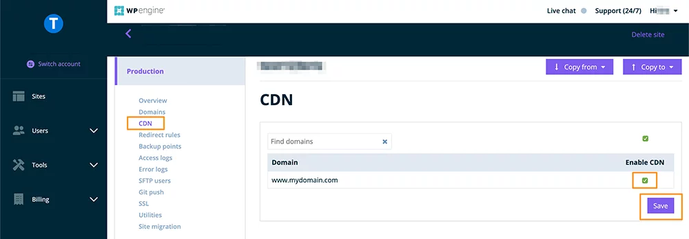 WP hosting providers detailed comparison 2021 - WP Engine: Enable CDN