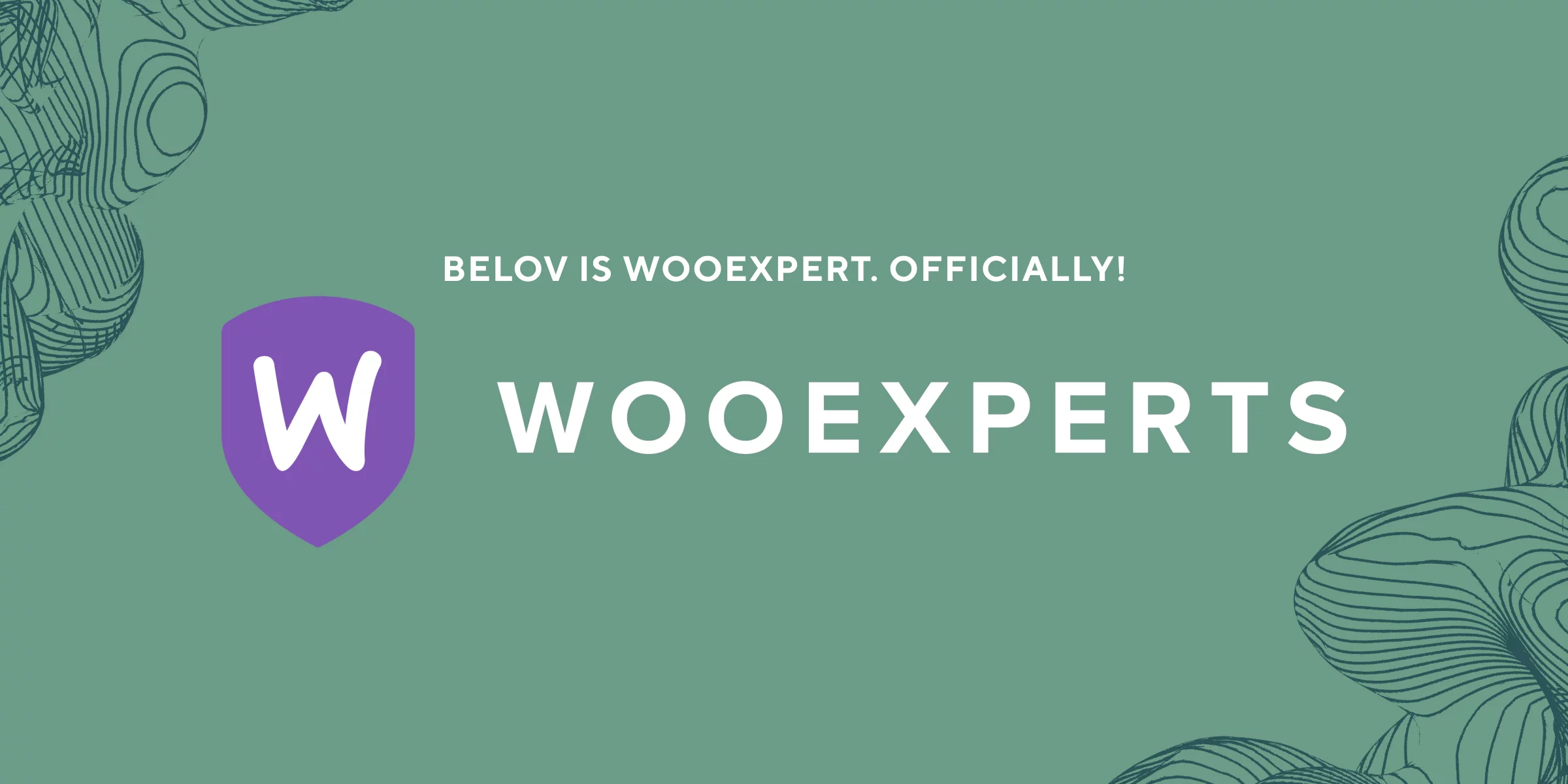 belov digital agency is WooExpert now. Officially!