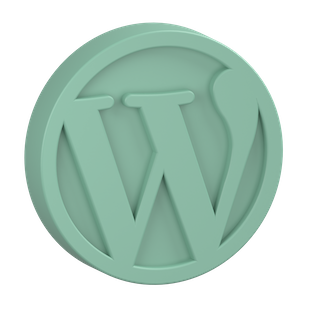 WordPress Development Services by Belov Digital Agency