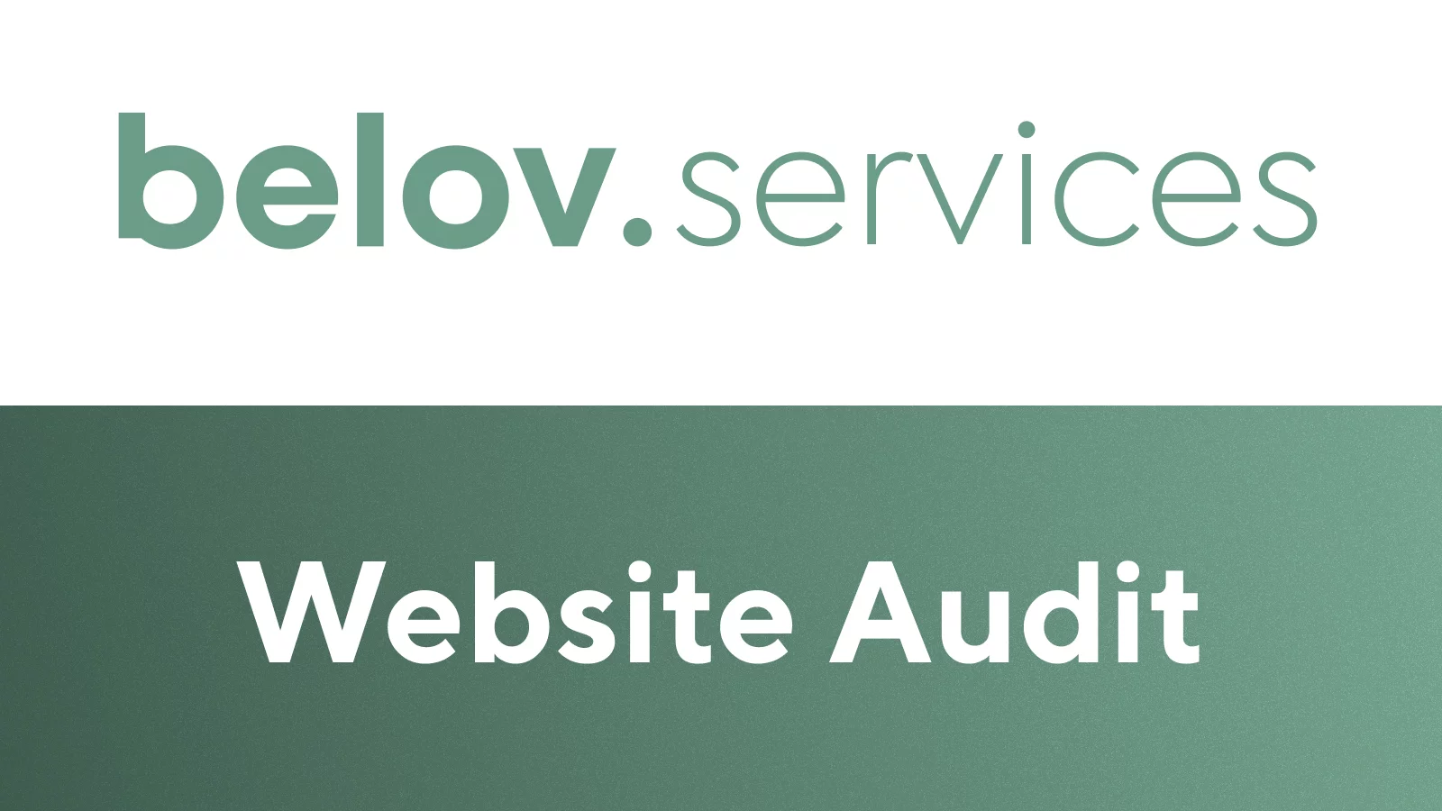 Website Audit Services by Belov Digital Agency
